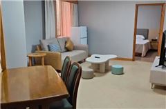 Light luxury New one bedroom one living room Apartment Suite