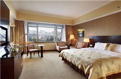 Executive Queen Room
