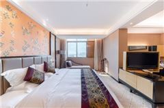 Fashion Suite