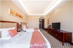 Business Twin Room