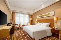 City-view Executive Queen Room