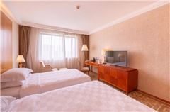 City-view Business Twin Room
