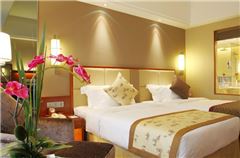 Executive Twin Room