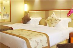 Executive Twin Room