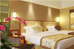 Executive Twin Room