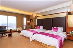 Superior Panoramic Twin Room