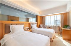 Business Twin Room