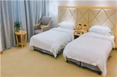 Executive Twin Room