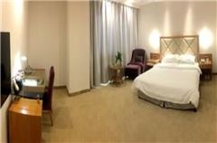 Executive Queen Room