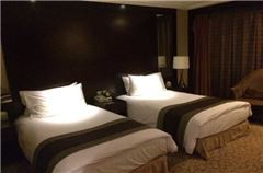 Elegant Twin Room