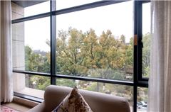 Business Suite