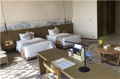 Business Twin Room