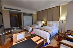 Executive Twin Room