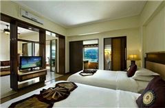 Mountain-view Room