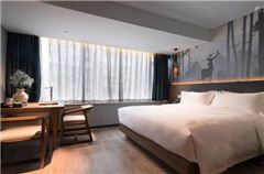 Deluxe Queen Room
