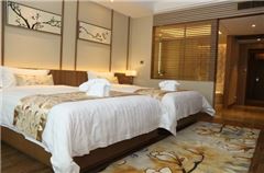 Business Twin Room