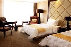 Business Twin Room