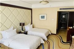 Business Twin Room