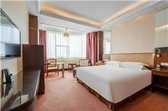 Explore Queen Room