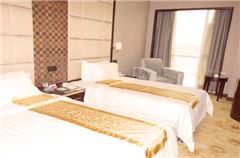 Elegant Twin Room