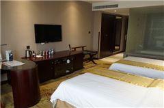 Elegant Twin Room