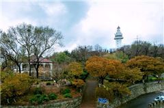 Garden-view Queen Room
