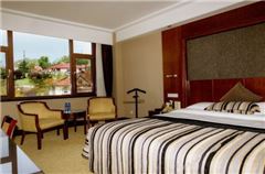 Garden-view Queen Room