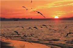 Sunrise Ocean-view Suite