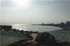 Sunrise Ocean-view Suite