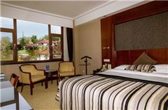 Garden-view Executive Queen Room