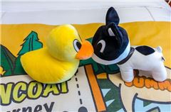Rubber Duck Thematic Room