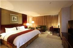 Executive Panoramic Queen Room