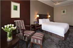 Deluxe River-view Queen Room