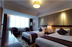 Executive Twin Room