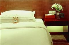 Executive Queen Suite