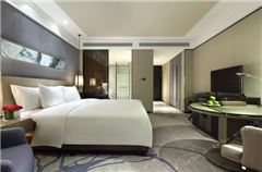Executive Deluxe Queen Room