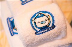 Octonauts Theme Room