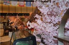 Japanese restaurant