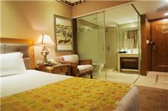 Delicacy Single Room