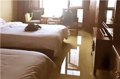 Deluxe Mountain-view  Standard  Room