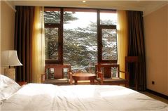 Deluxe  Viewing Suite A