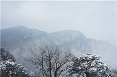 Deluxe  Viewing Suite A