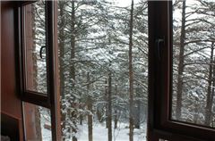 Deluxe  Viewing Suite A