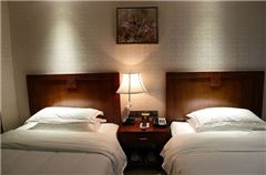 Executive Standard Room