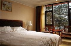 Panoramic Queen Room