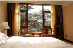 Panoramic Queen Room