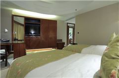 Deluxe Standard Room 