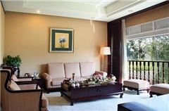VIP Suite