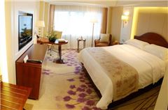 Executive Queen Room