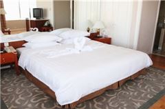 Business Queen Room